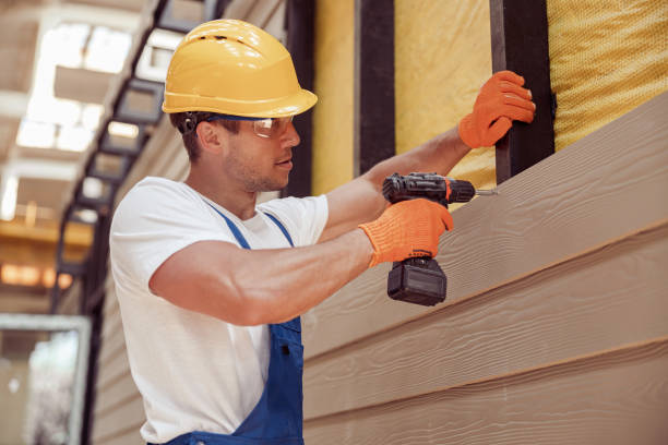 Best Siding Painting and Refinishing  in Old Bethpage, NY